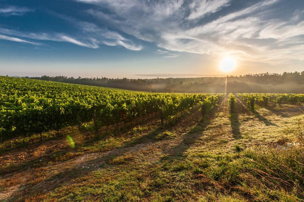 Villa Porticciolo Montepulciano Stazione Luaran gambar